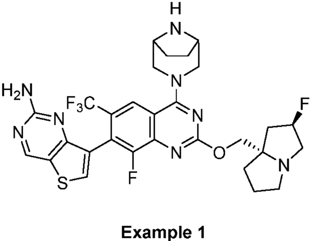 Example 1 compound structure